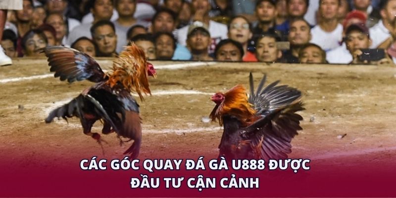 Các góc quay đá gà U888 được đầu tư cận cảnh.