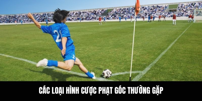 Các loại hình cược phạt góc thường gặp.