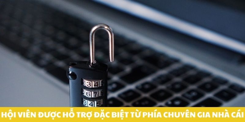 Hội viên được hỗ trợ đặc biệt từ phía chuyên gia nhà cái.