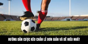 Hướng Dẫn Cược Kèo Chẵn Lẻ Đơn Giản Và Dễ Hiểu Nhất