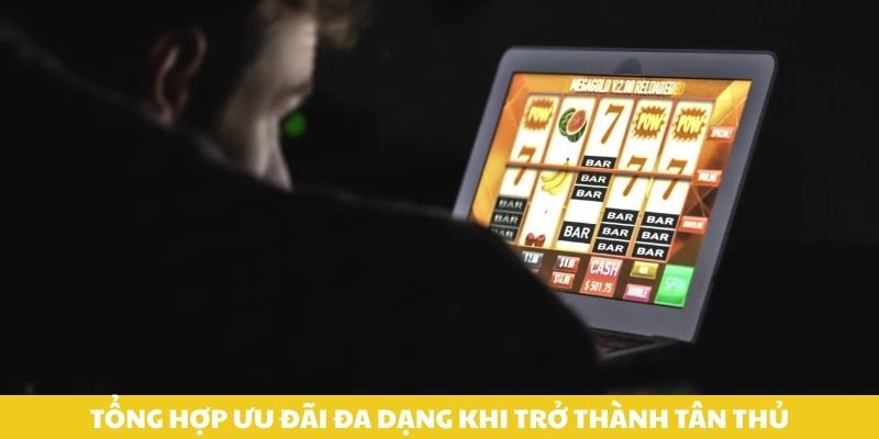 Tổng hợp ưu đãi đa dạng khi trở thành tân thủ.