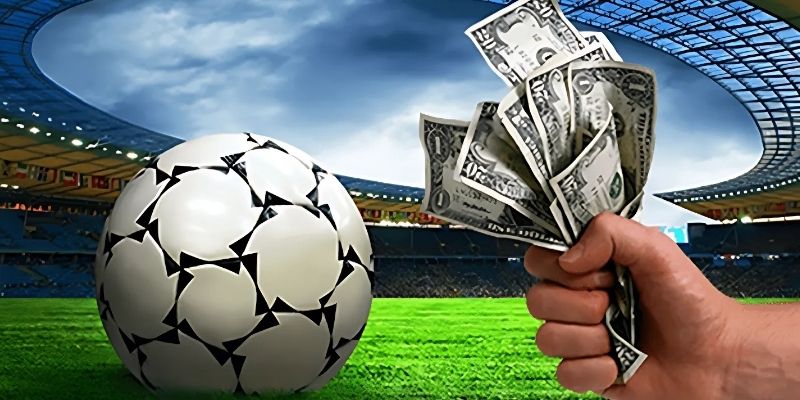Xem xét phong cách thi đấu của các đội tuyển.
